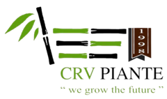 CRV Piante – we grow the future